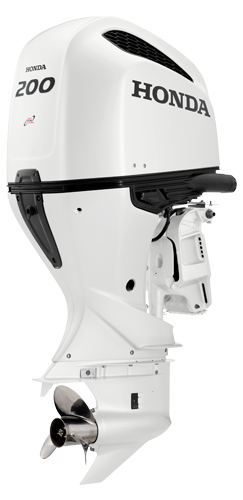 bf200.large
